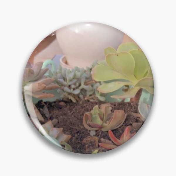 Item preview, Small Succulent in Adorable Pot designed and sold by Maizy-a.
