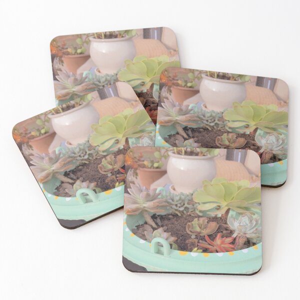 Item preview, Small Succulent in Adorable Pot designed and sold by Maizy-a.