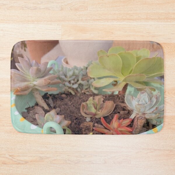 Item preview, Small Succulent in Adorable Pot designed and sold by Maizy-a.