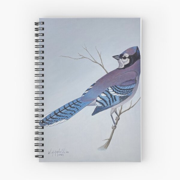 Item preview, Mr. Blue Jay designed and sold by William  RaVell.