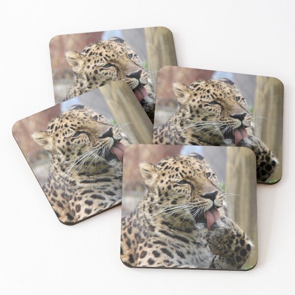 Item preview, Amur Leopard designed and sold by KMDavidPhoto.