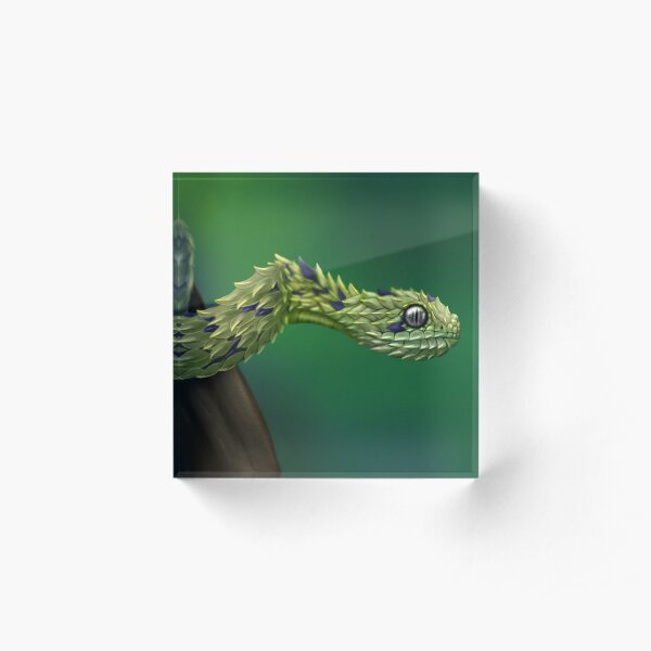 Bush Viper Acrylic Block