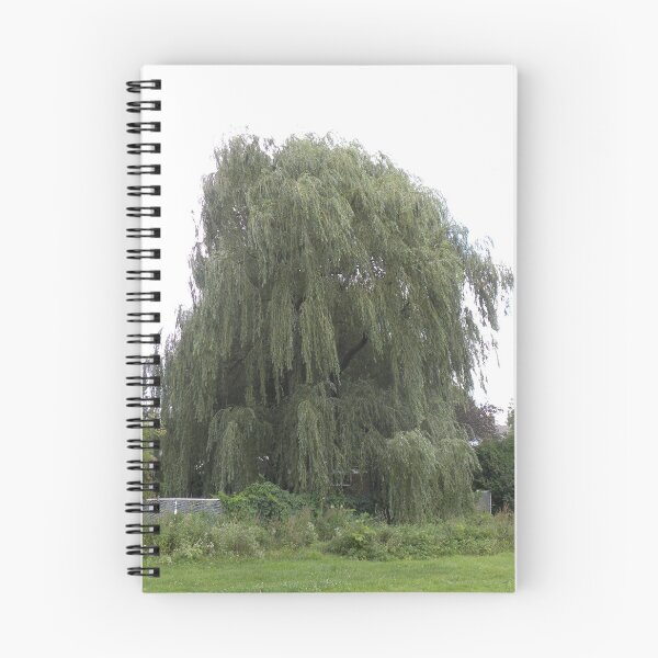 Item preview, Weeping Willow designed and sold by OrangeEden.