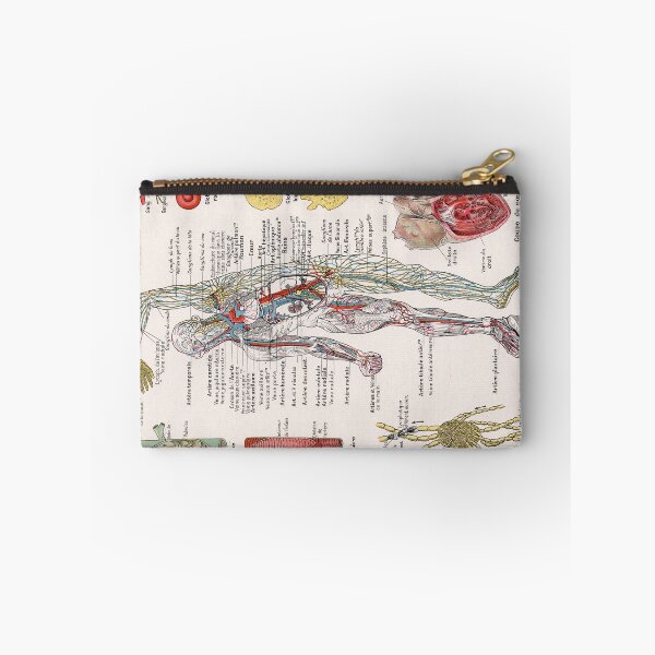 Item preview, Human Circulatory System Human Anatomy French Language Labeled Encyclopedia Diagram designed and sold by Ejaaz.