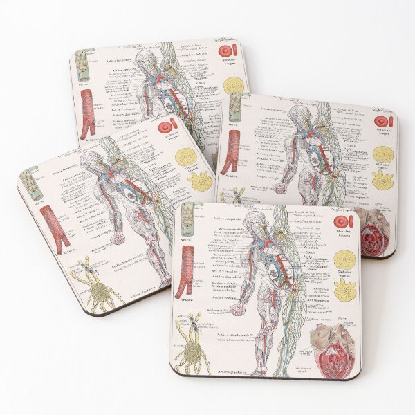 Item preview, Human Circulatory System Human Anatomy French Language Labeled Encyclopedia Diagram designed and sold by Ejaaz.