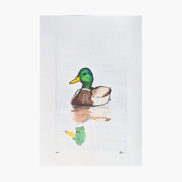 Reflection Photographic Print