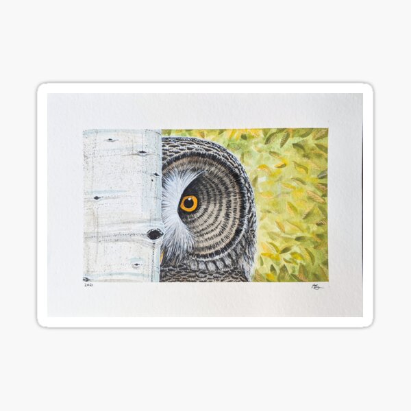 Great Grey Owl Sticker