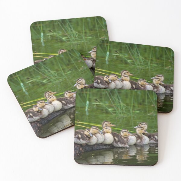 Item preview, Adorable Baby Ducks On A Log designed and sold by Shelly Gunderson.