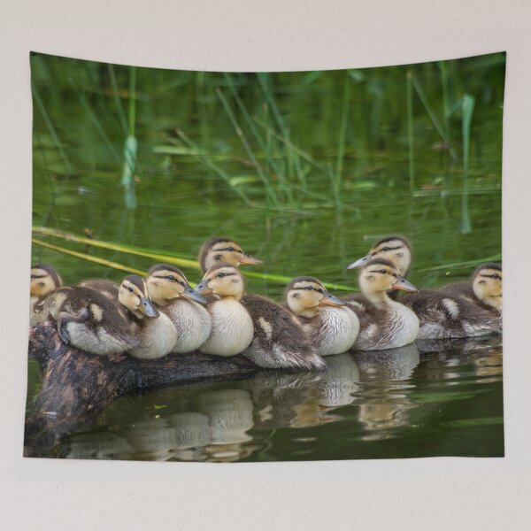 Item preview, Adorable Baby Ducks On A Log designed and sold by Shelly Gunderson.