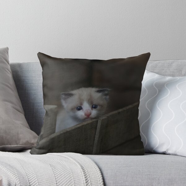 Item preview, lindo gato con fondo negro designed and sold by abanoub mashail.