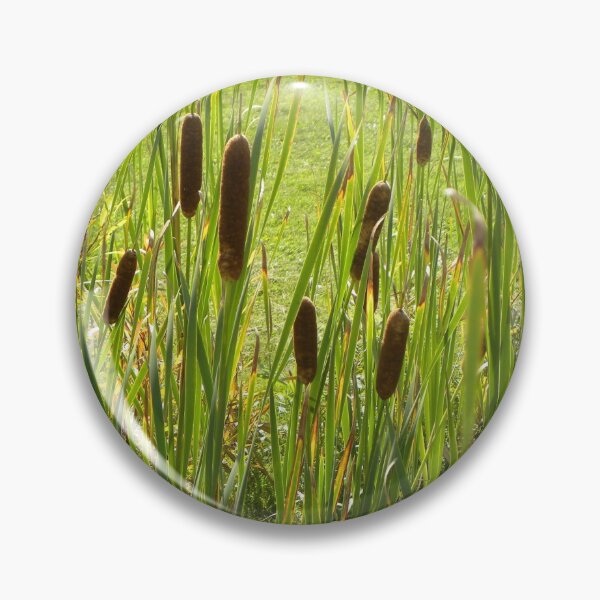 Item preview, Bullrushes designed and sold by OrangeEden.