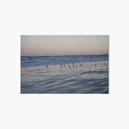 Winter Birds Coastal Sunset Art Board Print