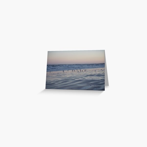 Winter Birds Coastal Sunset Greeting Card