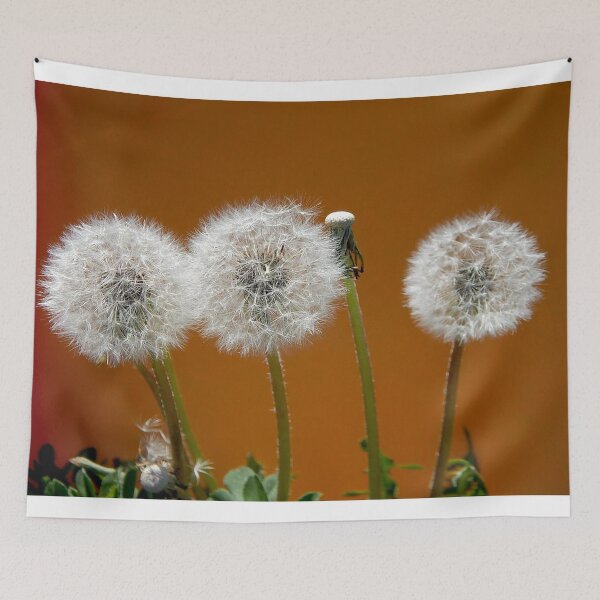 Item preview, Three wishes and three dandelions orange background  designed and sold by Stephanie  Skeem.