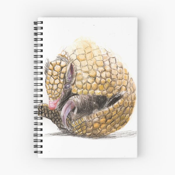 Item preview, Tatu-bola (Three-banded Armadillo) designed and sold by shirayukin.