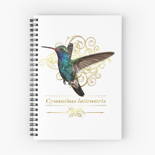 Item preview, broad-billed hummingbird designed and sold by obscurite.