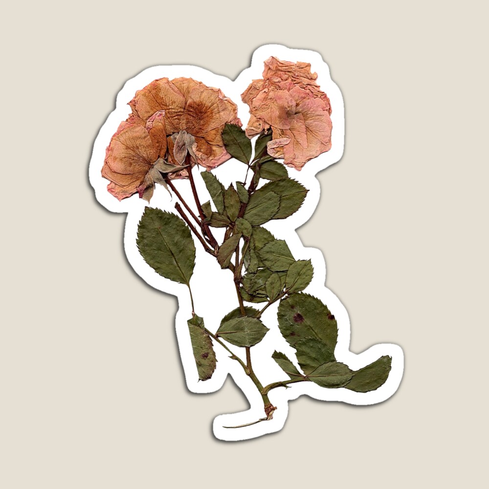 vintage flower sticker