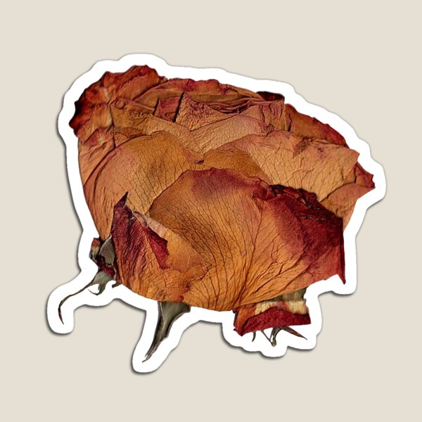 Item preview, Pressed Flower (F) designed and sold by Scootarooni.