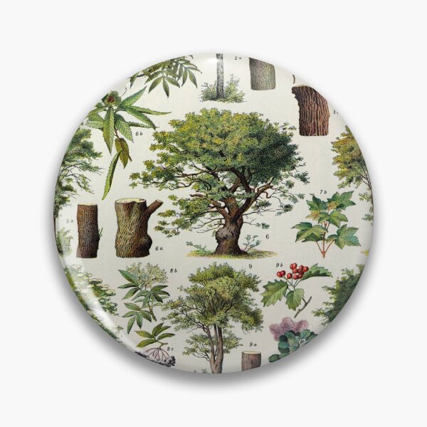 Aperçu de l'œuvre Adolphe Millot Illustration Scientifique Vintage Encyclopédie Larousse Illustration Étiquetée Arbres créée et vendue par Ejaaz.