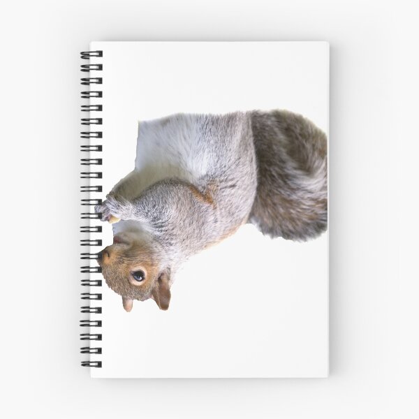 Item preview, Squirrel designed and sold by KnightSteel.