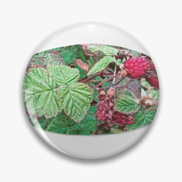 Item preview, Blackberries Face Mask designed and sold by Shulie1.