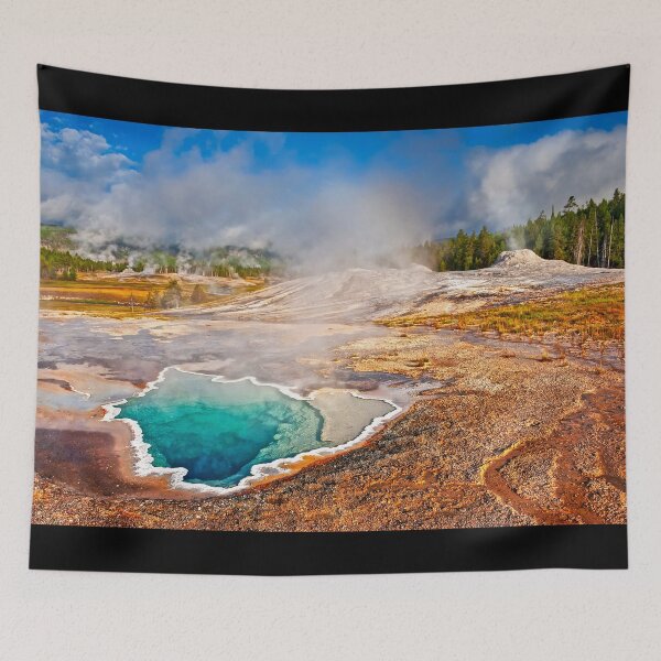 Item preview, Heart Spring and Lion Geyser  designed and sold by Alex Preiss.