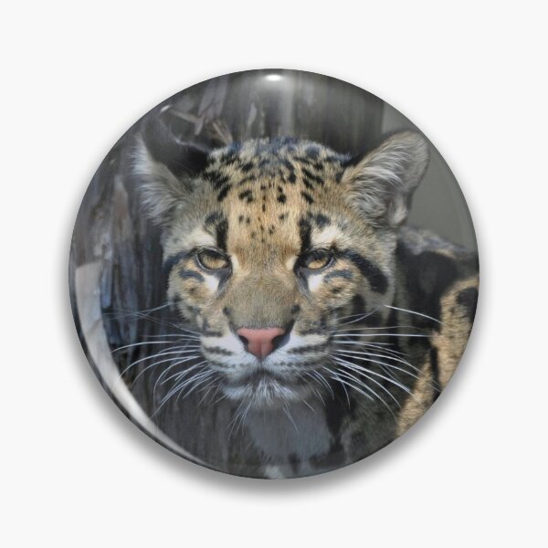 Item preview, Clouded Leopard designed and sold by Savannah Gibbs.
