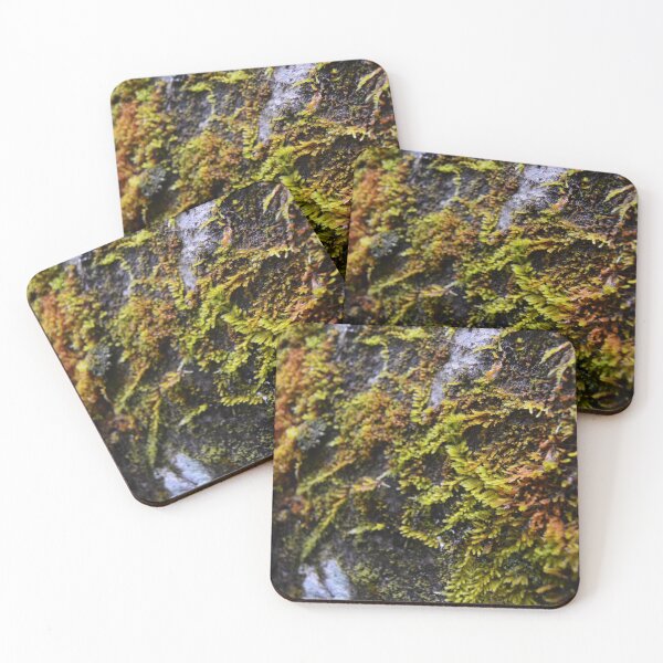 Item preview, the moss is taking over designed and sold by Anna Barrett.