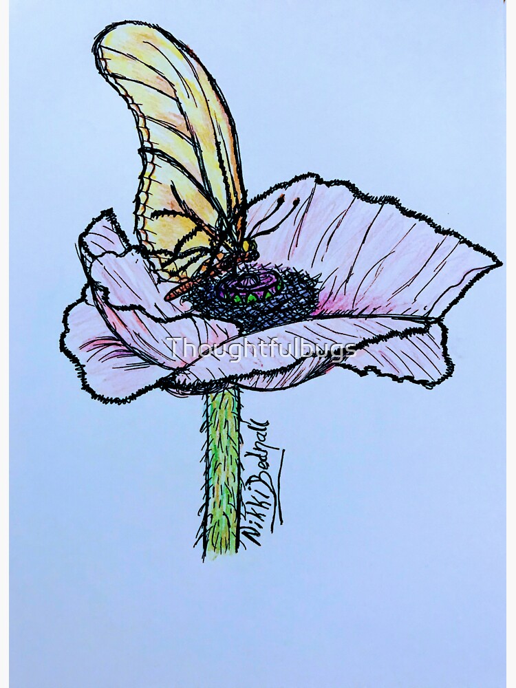 Resting butterfly on blue by Thoughtfulbugs