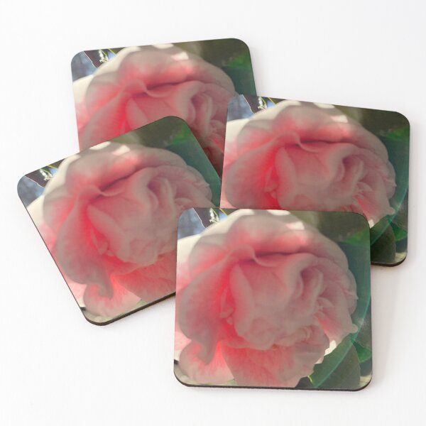 Item preview, Camellia on the sun designed and sold by agnessa38.
