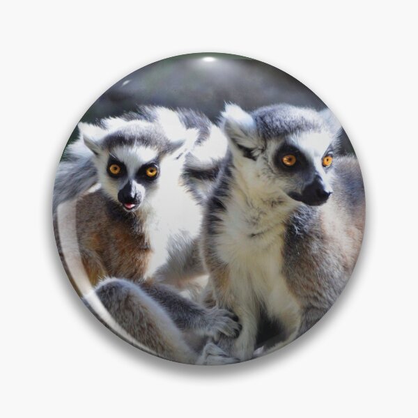 Item preview, Ring-tailed Lemur Family designed and sold by Savannah Gibbs.