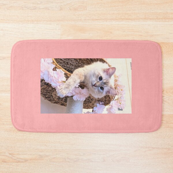 Item preview, Soairseragdoll queen ragdoll cat designed and sold by Fluffycat2020.