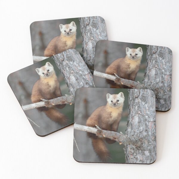 Item preview, Pine Marten designed and sold by mlorenz.