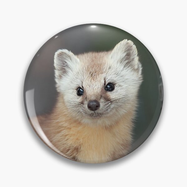 Item preview, Pine Marten designed and sold by mlorenz.