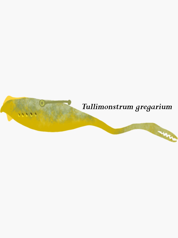 Tullimonstrum gregarium, Tully Monster with Excellent Muscle