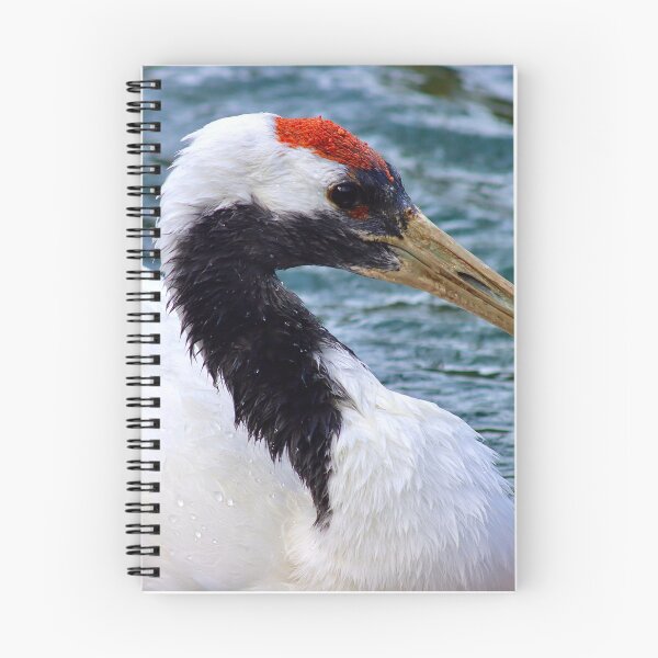 Item preview, The Red Crowned Crane designed and sold by KMDavidPhoto.