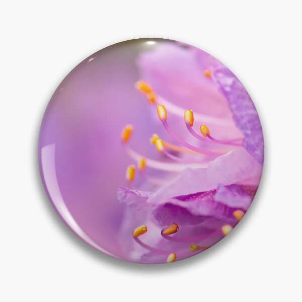 Aperçu de l'œuvre Texture de fleur A créée et vendue par drpendleton.