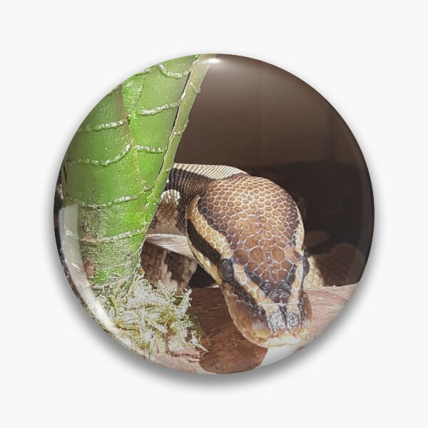 Item preview, Scarlett sunning with her plant-log designed and sold by Kaleb99.