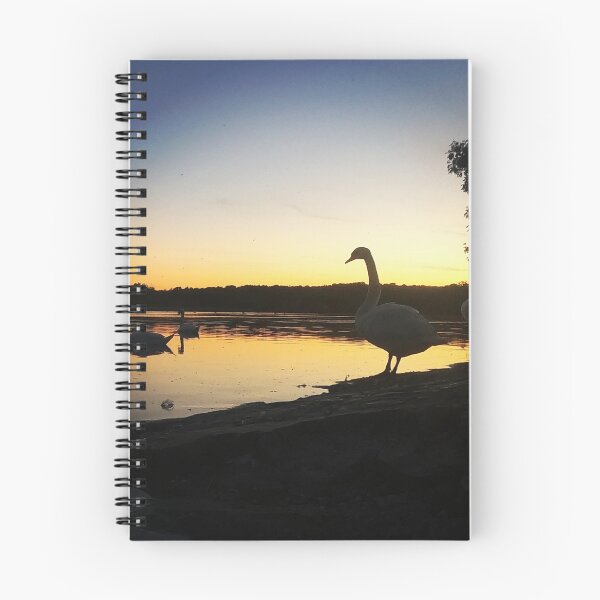 Item preview, Swans and geese at sunset designed and sold by Paul Eldridge.