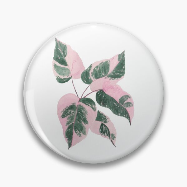 Item preview, Philodendron Pink Princess PPP designed and sold by azariajayde.