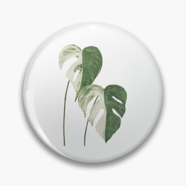 Item preview, Variegated Monstera designed and sold by azariajayde.