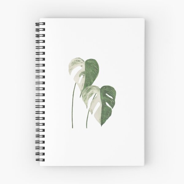 Item preview, Variegated Monstera designed and sold by azariajayde.