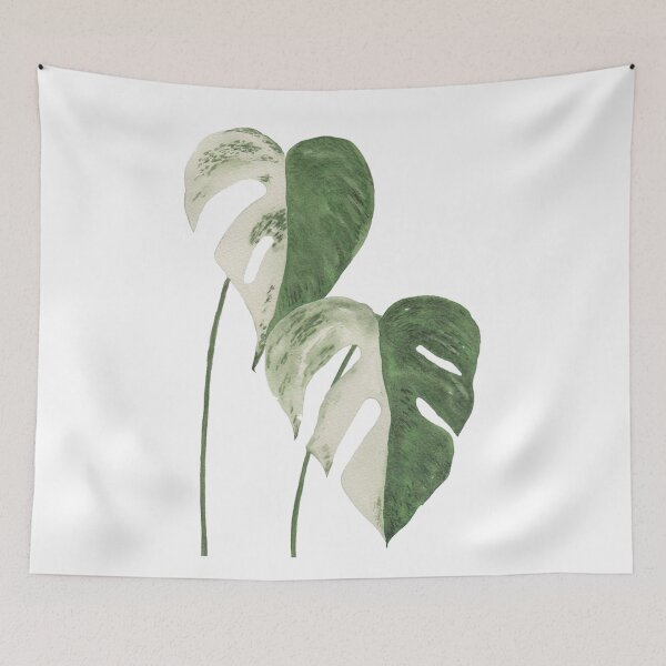 Item preview, Variegated Monstera designed and sold by azariajayde.