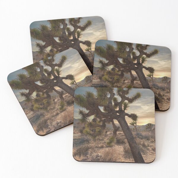 Item preview, Joshua Tree National Park designed and sold by Sean Lathrop.