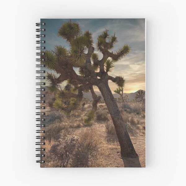 Item preview, Joshua Tree National Park designed and sold by Sean Lathrop.