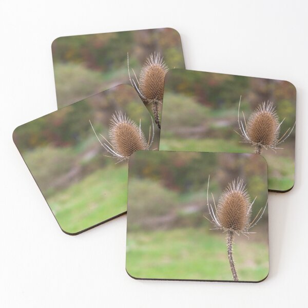 Item preview, Cardo bailando en marrón designed and sold by LizAlbroPhotos.