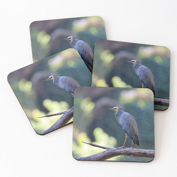 Item preview, White Faced Heron North West Tasmania designed and sold by Simon  King.
