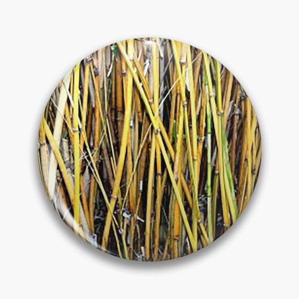 Item preview, Field of bamboo shoots pattern photo designed and sold by Nostrathomas66.