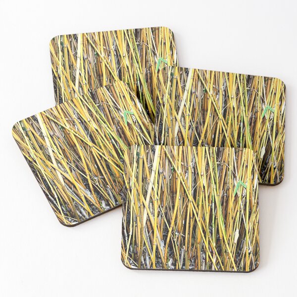 Item preview, Field of bamboo shoots pattern photo designed and sold by Nostrathomas66.