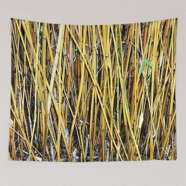 Item preview, Field of bamboo shoots pattern photo designed and sold by Nostrathomas66.